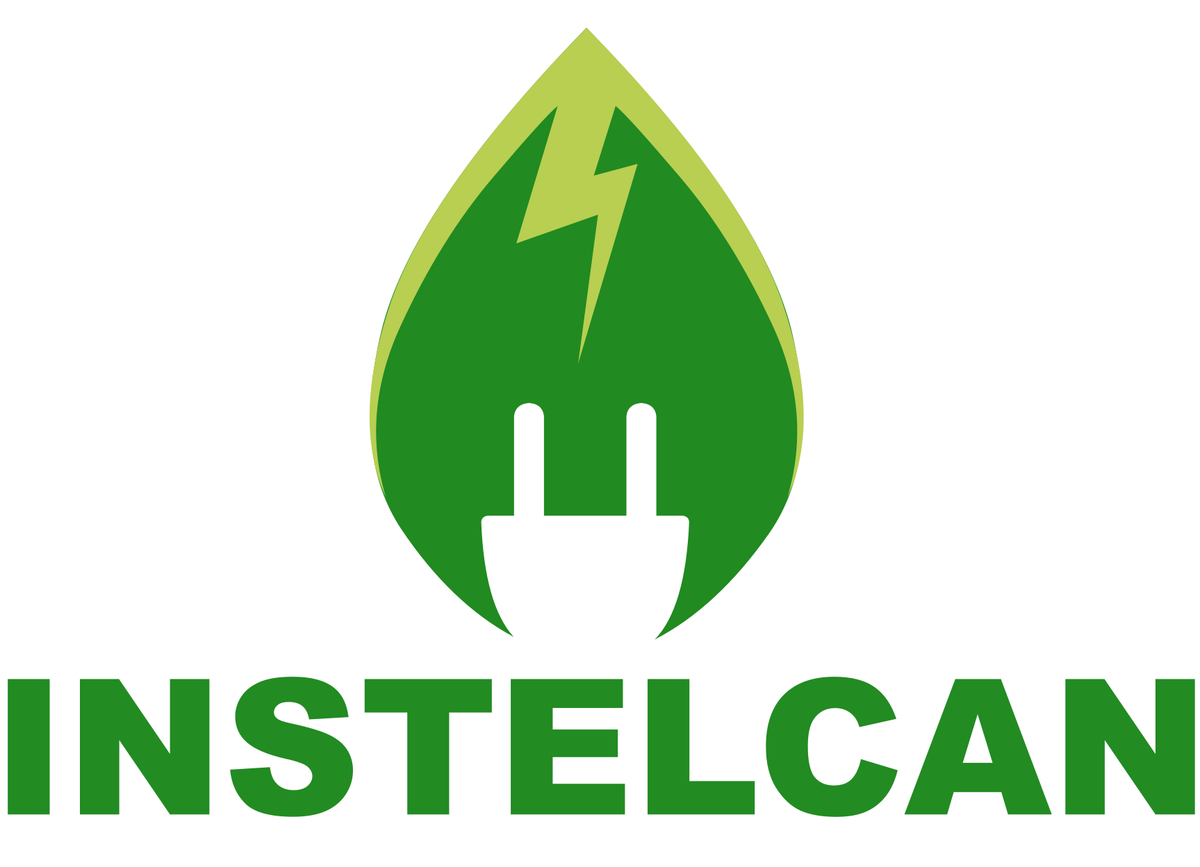 Logo Instelcan